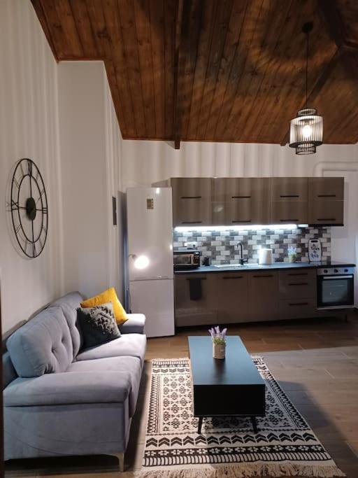 Luxury Apartment With Balcony Mytilíni Zewnętrze zdjęcie