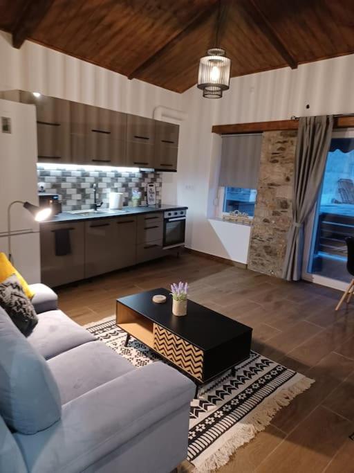 Luxury Apartment With Balcony Mytilíni Zewnętrze zdjęcie