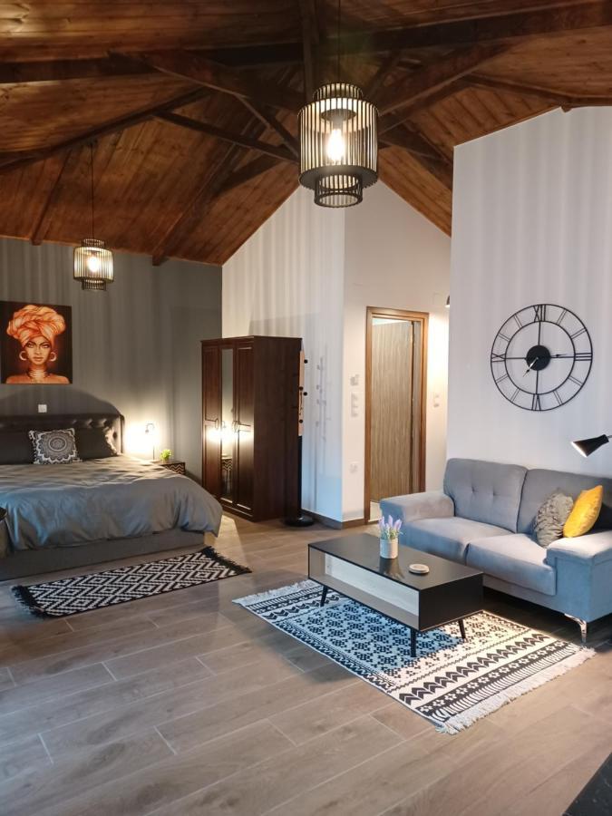 Luxury Apartment With Balcony Mytilíni Zewnętrze zdjęcie